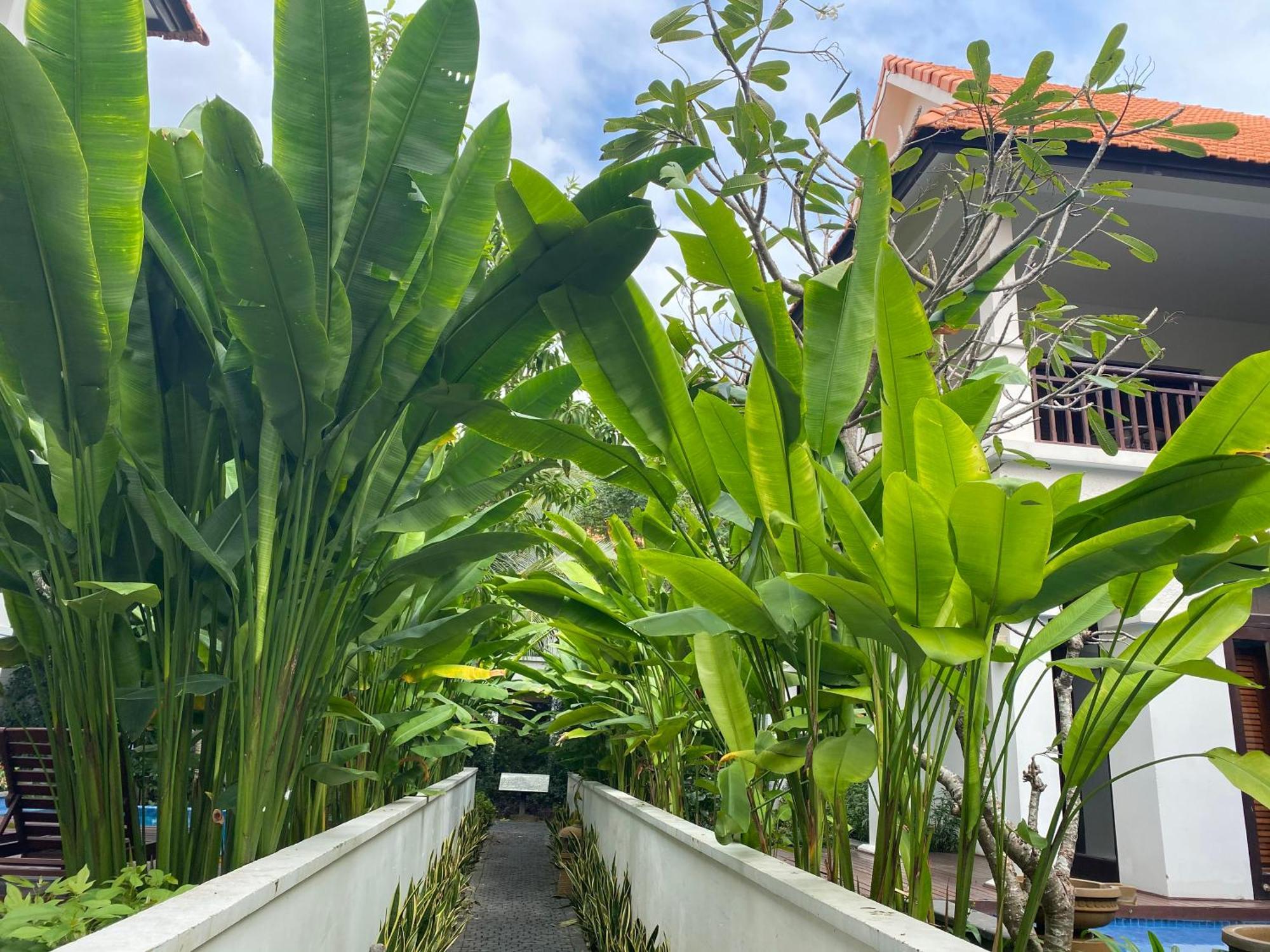 Tropical Pool Вилла Дананг